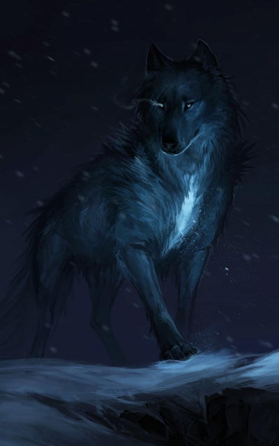 Fantasy Wolf, Night, 800x1280