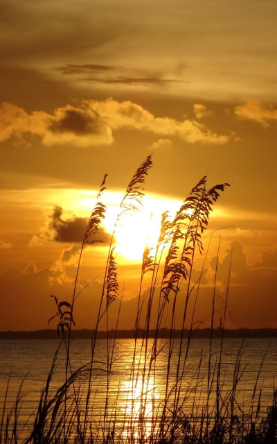 Earth Sunset, 800x1280