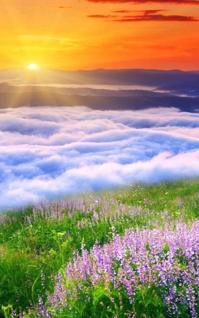 Earth Sunset, Cloud, Landscape, Meadow, 800x1280