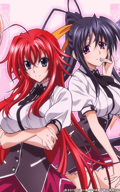 Anime High School DxD, 800x1280