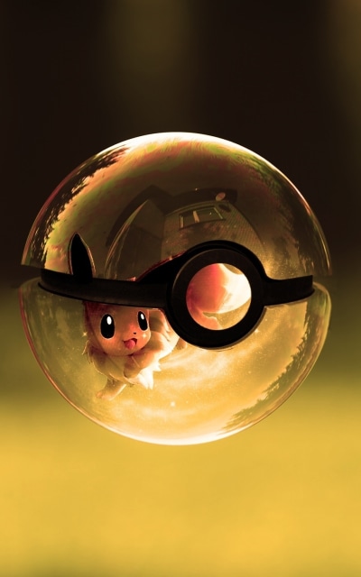 Anime Pokémon, Eeveelutions, Eevee (Pokémon), Pokeball, 800x1280
