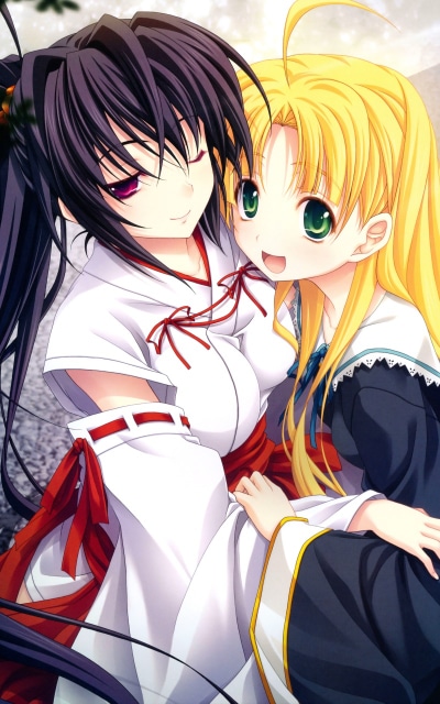 Anime High School DxD, Akeno Himejima, Asia Argento (High School DxD), 800x1280