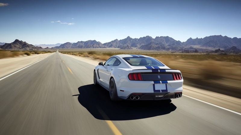 Ford Mustang Shelby GT350, Shelby, GT350, Mustang, sports car, concept, supercar