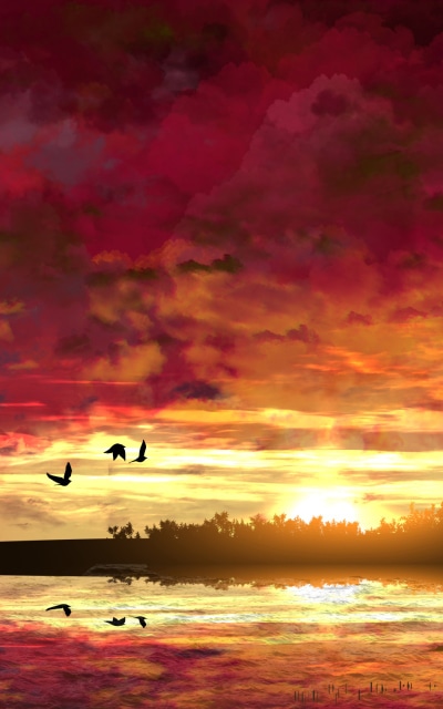 Anime Sunset, 800x1280