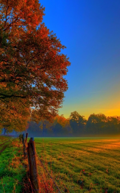 Earth Sunset, Fall, Sky, Field, 800x1280
