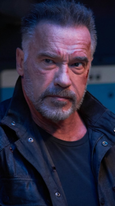 Movie Terminator: Dark Fate, Arnold Schwarzenegger, 750x1334