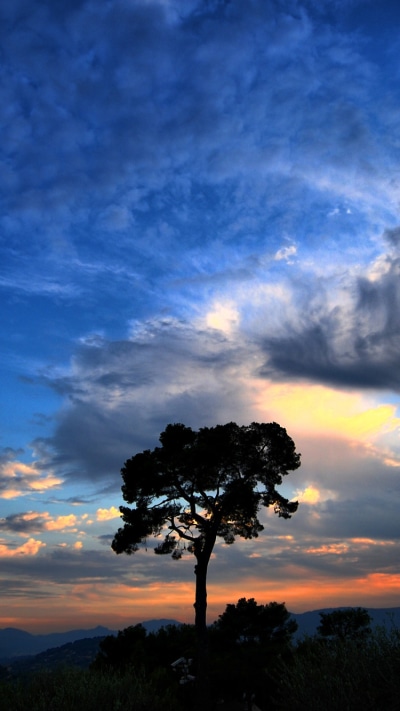 Earth Sunset, Cloud, Sky, Tree, 750x1334