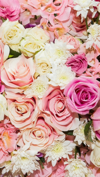 Earth Flower, Purple Flower, Pastel, White Flower, Pink Flower, Rose, 750x1334