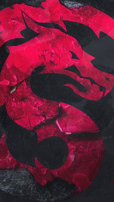 Video Game Mortal Kombat, Logo, 750x1334