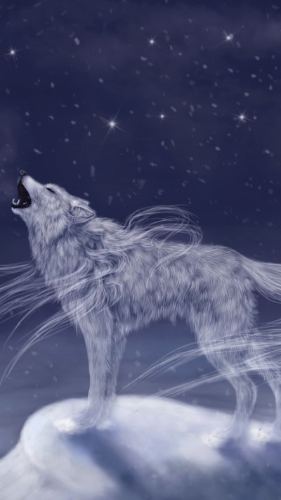 Fantasy Wolf, 750x1334