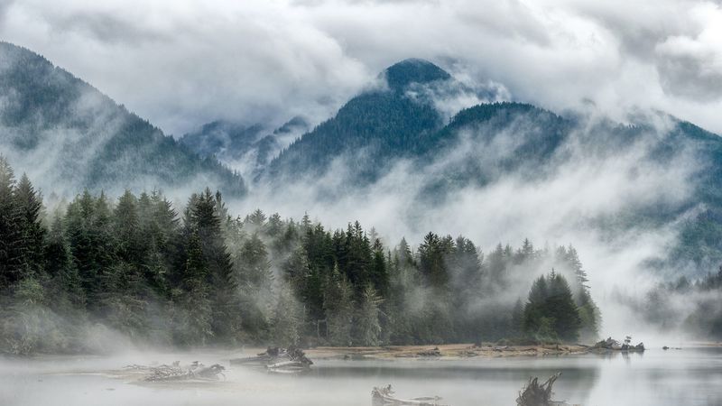 hill, fog, lake, forest, trees, 4k