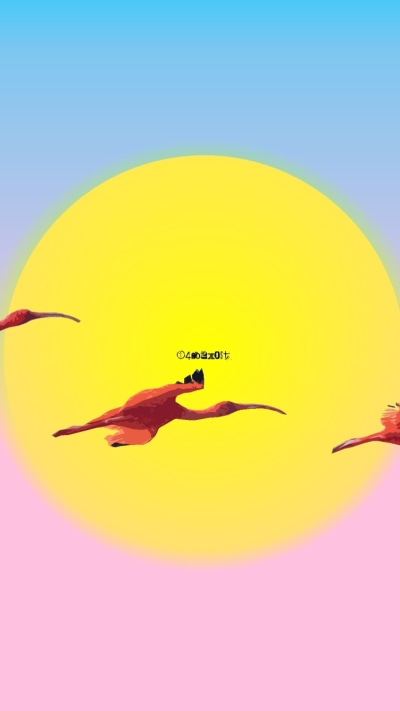 Animal Flamingo, Minimalist, Bird, Sun, Simple, 750x1334