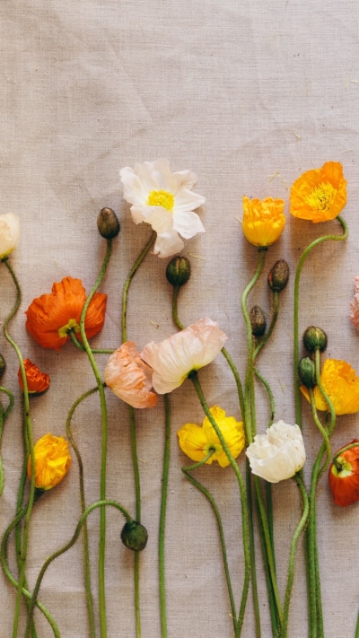 Man Made Flower, Orange Flower, Yellow Flower, White Flower, Poppy, 750x1334
