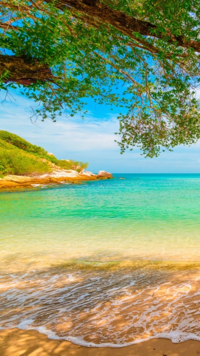 Earth Ocean, Branch, Sea, Beach, 750x1334