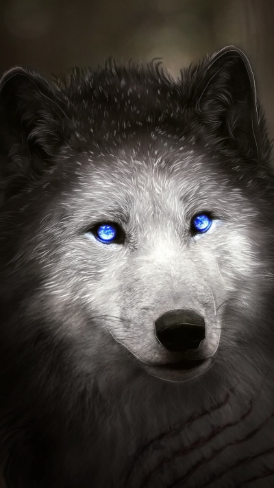 Fantasy Wolf, Blue Eyes, 750x1334