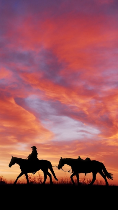 Photography Cowboy, Silhouette, Cloud, Horse, Sunset, Sky, 750x1334