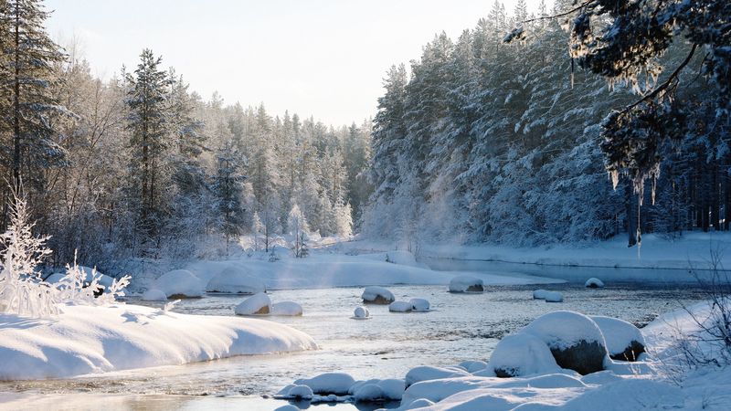 snow, snowy, forest, river, snowdrifts, 4k
