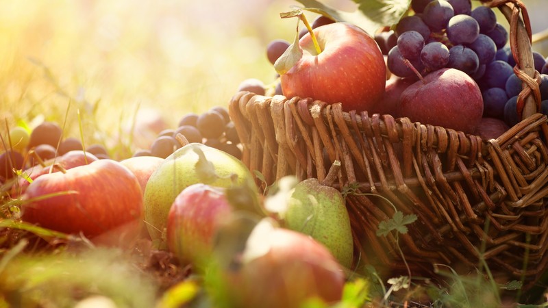 basket, grapes, apples, pears, greens, sun