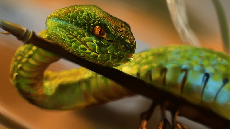 Snake, green, reptile, eyes, art