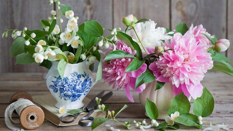 peonies, 4K, jasmine, scissors, vase, ribbon