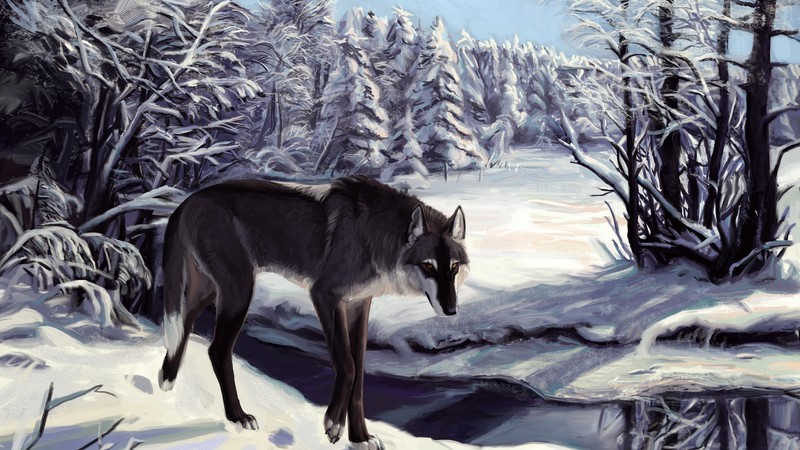 Wolf, winter, lake, sight, gray, white, forest, alone, art