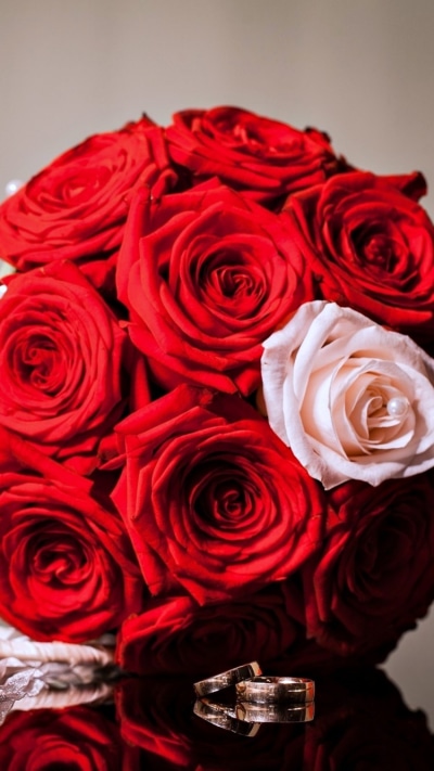 Man Made Flower, Love, Bouquet, Red Rose, 750x1334
