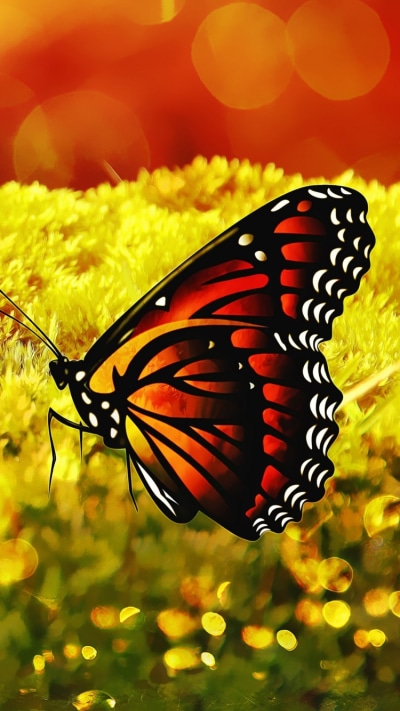 Artistic Butterfly, Yellow, 750x1334