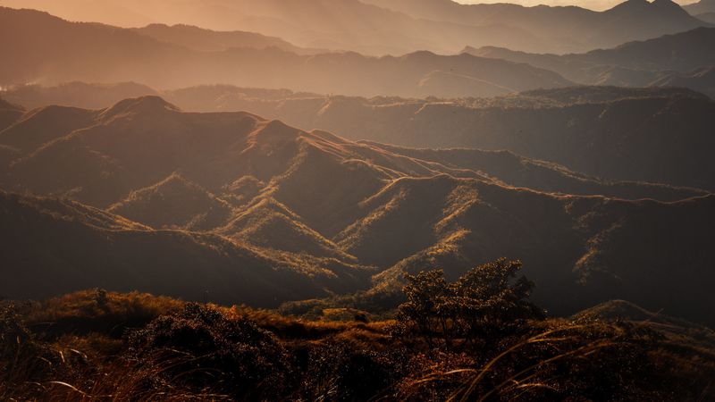 valley, hills, fog, trees, grass, 4k