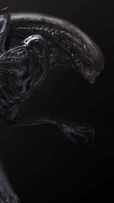 Movie Alien: Covenant, Xenomorph, Alien, 750x1334