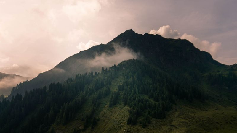 valley, peak, green, forest, 4k