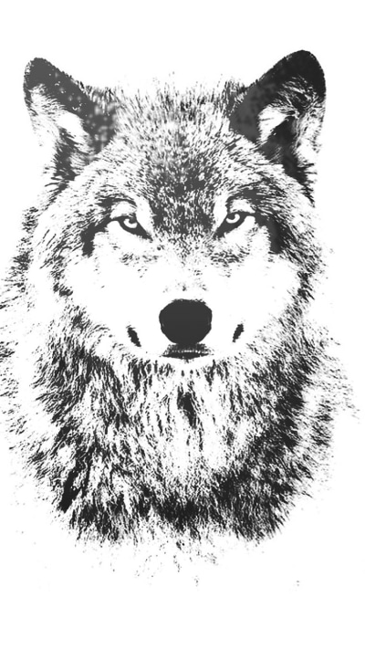 Animal Wolf, 750x1334