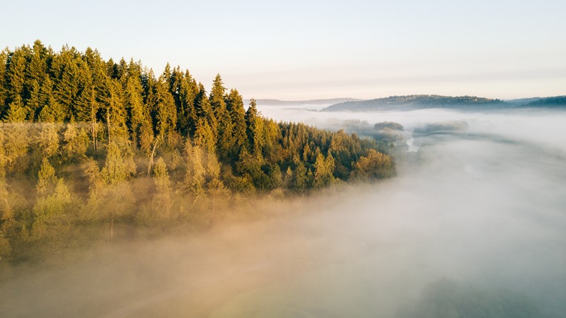 Fog, Landscape, 4K