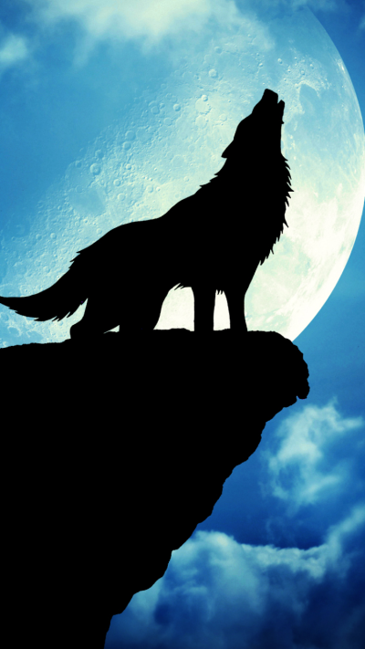 Animal Wolf, 750x1334
