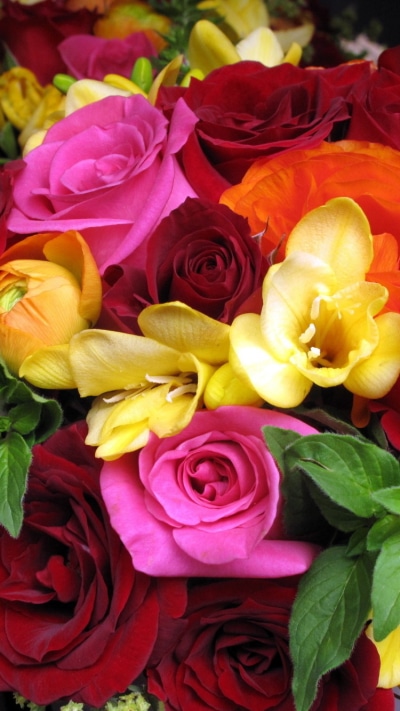 Earth Flower, Orange Flower, Colorful, Pink Flower, Earth, Colors, 750x1334