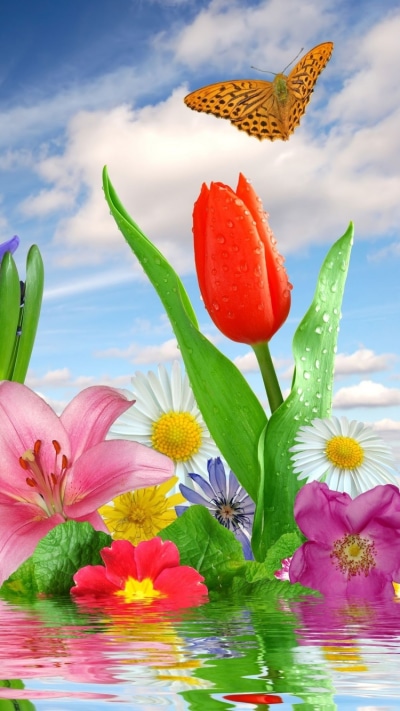 Artistic Flower, 750x1334
