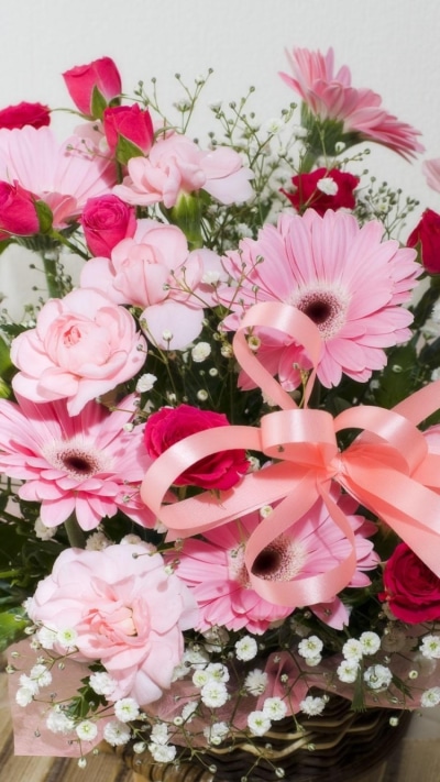 Earth Flower, Gerbera, Rose, 750x1334