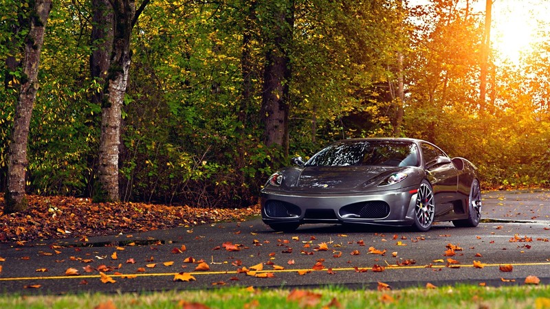 Ferrari 430 Scuderia, 2018 Cars, autumn, road, 4K