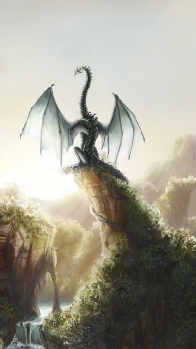 Fantasy Dragon, 750x1334
