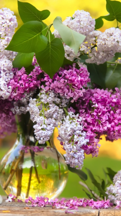 Man Made Flower, Vase, White Flower, Lilac, Purple Flower, 750x1334