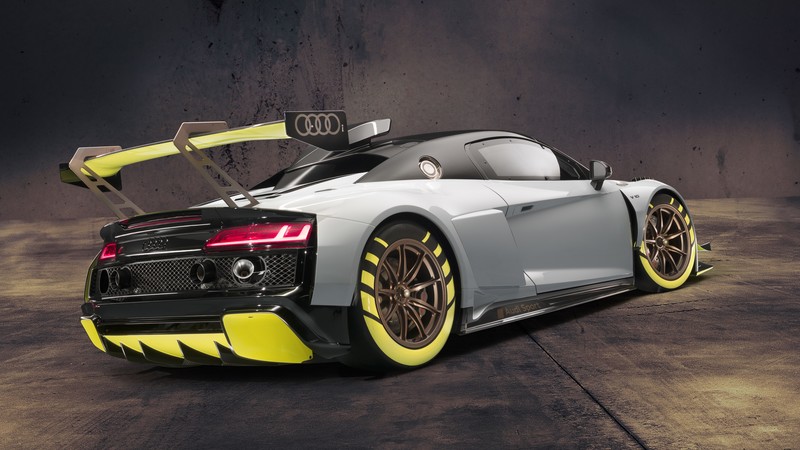 Audi R8 LMS GT2, 2019 cars, 4K