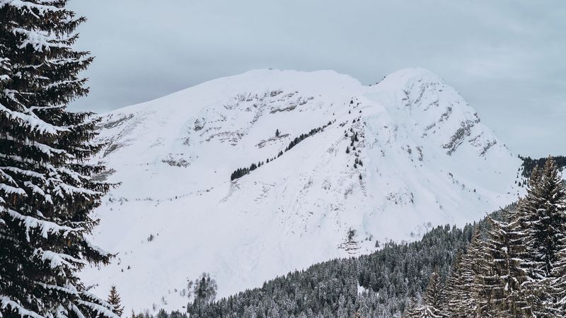 snowy, mountains, spruce, snow, trees, 4k