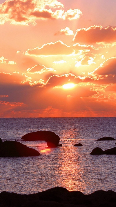 Earth Sunset, 750x1334
