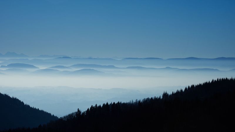 distance, fog, forest, hills, 4k