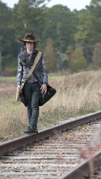 TV Show The Walking Dead, Carl Grimes, Michonne (The Walking Dead), Danai Gurira, 750x1334