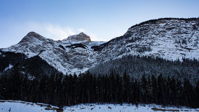 peaks, snowy, forest, trees, 4k