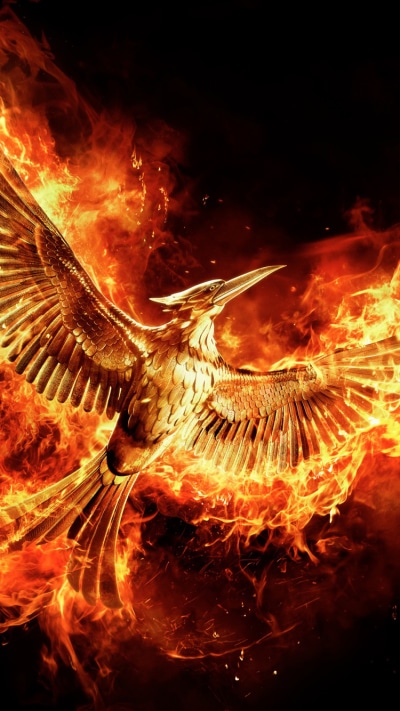 Movie The Hunger Games: Mockingjay - Part 2, 750x1334