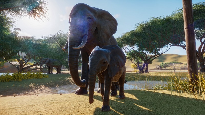 Planet Zoo, E3 2019, screenshot, 4K