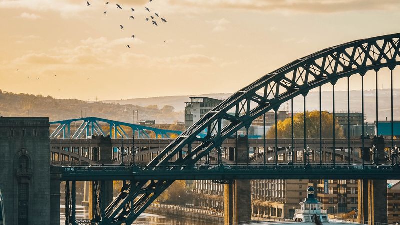 bridge, city, architecture, birds, clouds, 4k