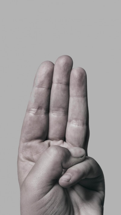 Movie The Hunger Games: Mockingjay - Part 2, 750x1334
