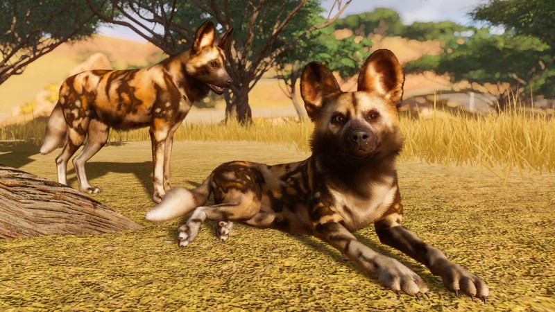 Planet Zoo, E3 2019, screenshot, 4K